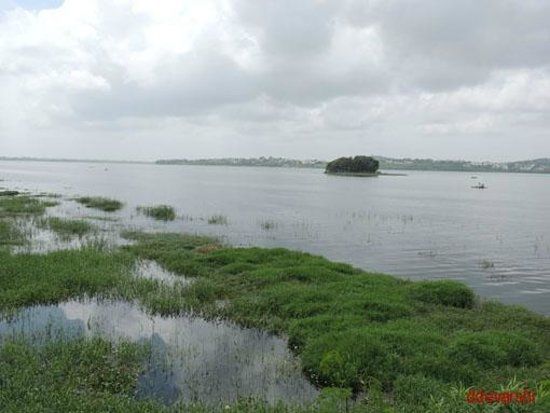 Bhoj Wetland